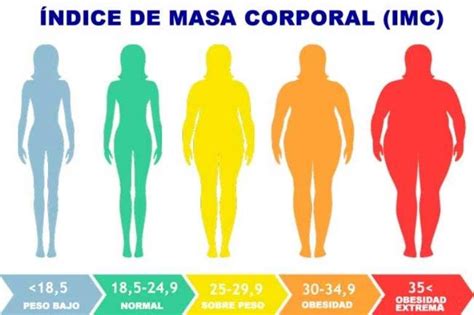 Hoy Es El Día Mundial Contra La Obesidad Cómo Saber Si Tenés Sobrepeso