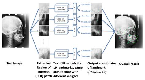 Applied Sciences Free Full Text Automatic Cephalometric Landmark