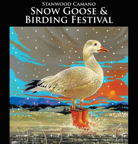 Snow Goose And Birding Festival 2024 Sound Water Stewards