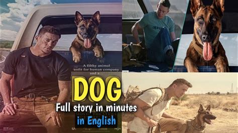 Dog 2022 Movie Explained In English Movie Summary Youtube