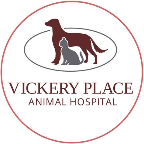 Pet Skin And Ear Disease What Causes It And How To Treat It Vickery