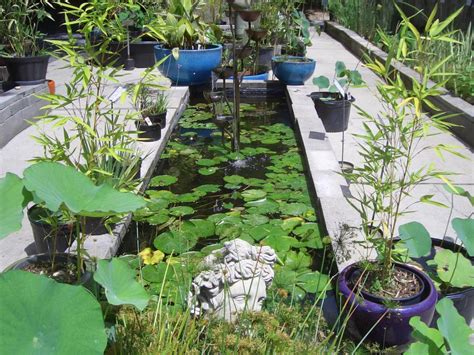 16 Landscape Ideas That Use Water Features | HGTV