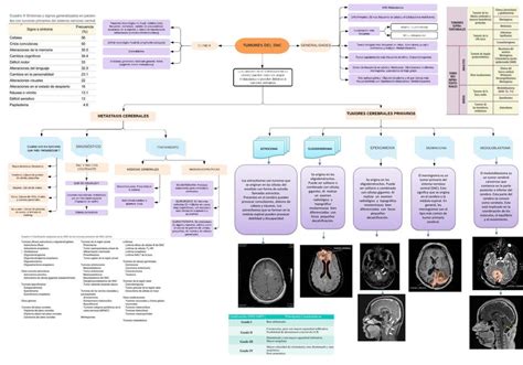 Tumores Del Sistema Nervioso Central Yelser Pv Udocz