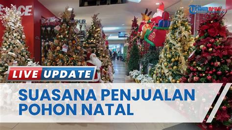 Suasana Penjualan Pohon Natal Di Manado Jelang Perayaan Mantos Beri