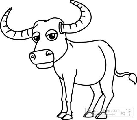 buffalo images black  white   buffalo images black