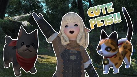 Getting Cute Pets Final Fantasy Xiv Youtube