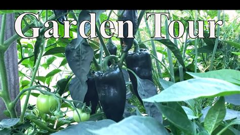 Garden Harvest For Canning With Lindas Pantry Youtube