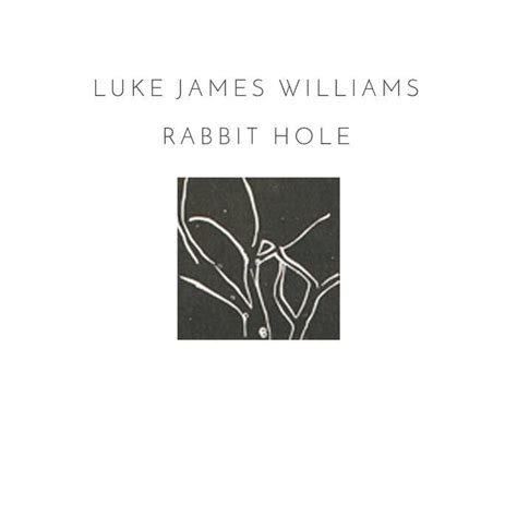 Luke James Williams Rabbit Hole Lyrics Genius Lyrics