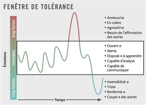 Comment fonctionnent nos émotions Comprendre la régulation