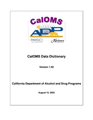 Fillable Online Sbcounty CalOMS Data Dictionary San Bernardino County