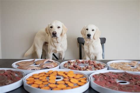 Homemade Dehydrated Dog Treats – Dont Stop Retrieving