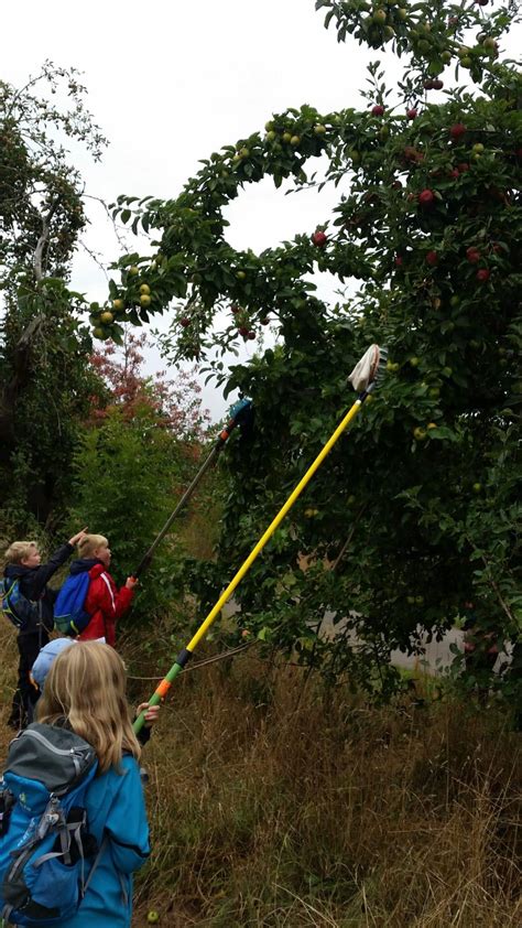 Besuch Der Streuobstwiesen In Ottenhausen Ein Projekt Der Klassen