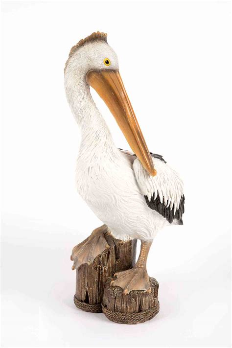 Perched Pelican Hamac Trading