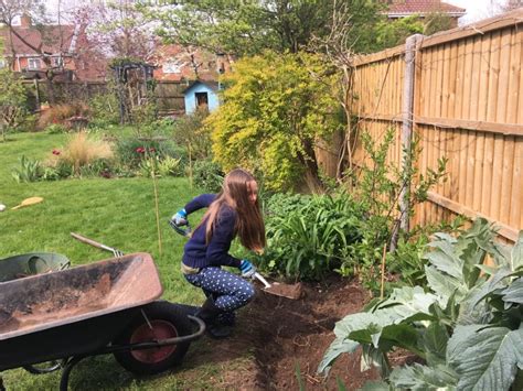 How To Build A Wildlife Pond Part 1 The Small Gardener