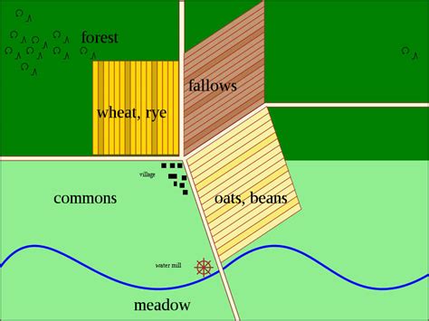 Crop Rotation The Definitive Guide Richmond Vale Academy