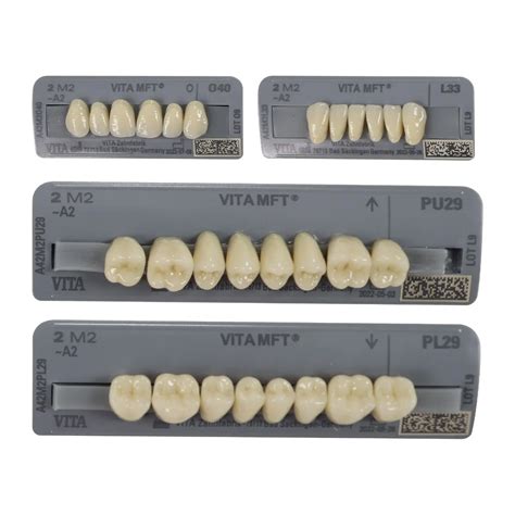 Vita MFT Denture Teeth 2M2 Set Of 28