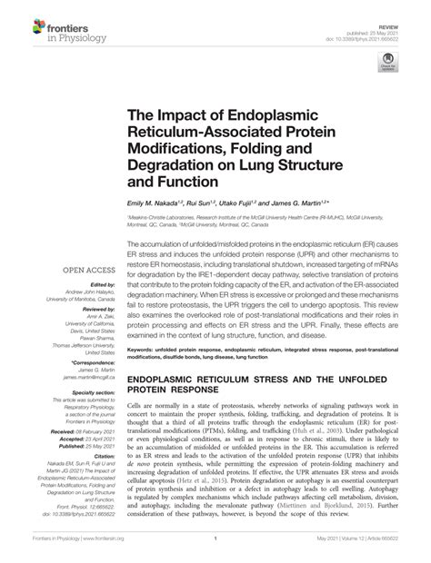 Pdf The Impact Of Endoplasmic Reticulum Associated Protein