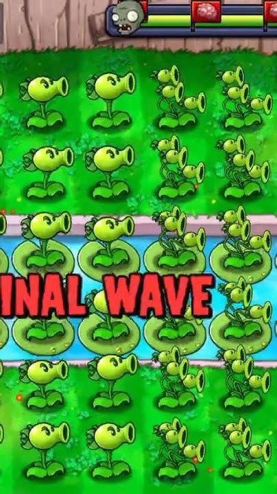 All Plants From Pvz Mods Pvz Mod Plant Pvz Hack Pvz Plus Plants Vs Zombies Mod 35 Youtube