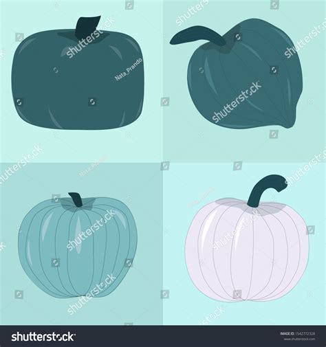 Different Types Blue Pumpkins Unique Varieties Stock Vector Royalty