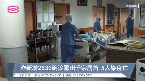 昨新增2536确诊雪州千宗居首 5人染疫亡【2022 07 04 八度空间午间新闻】 Youtube