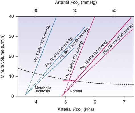 Carbon Dioxide And Oxygen Response Curves Deranged Physiology