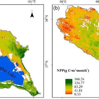 Spatial Distribution Of Grassland Net Primary Productivity Npp In