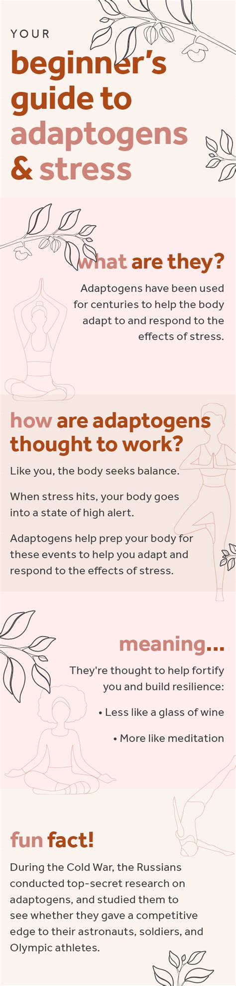 What Are Adaptogens And What Do They Do Bodi