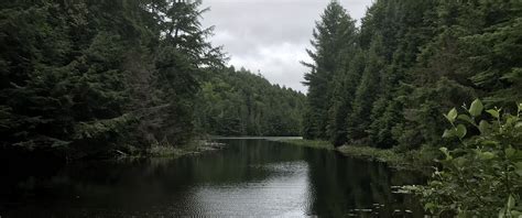 Pine Lake Web Design