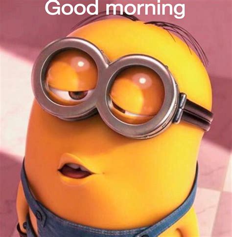 Good Morning Minion Despicable Me Minion Kiss Amor Minions