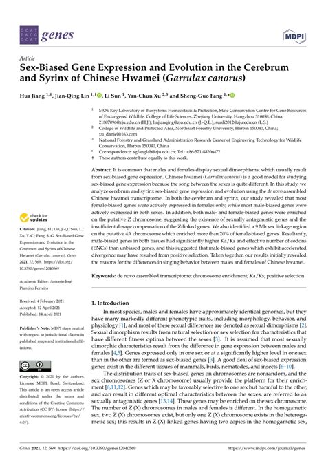 Pdf Sex Biased Gene Expression And Evolution In The Cerebrum And