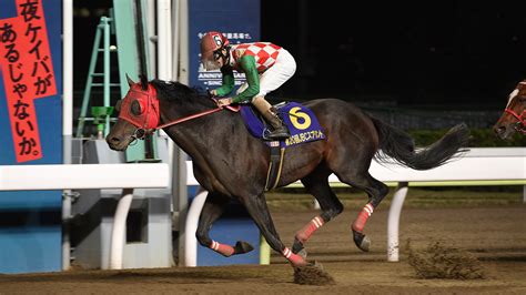 【競馬】アフター5スター賞（siii）有力・注目出走馬 ｜ 枠順 ｜ 発走時刻 ｜ 放送 Dazn News Jp