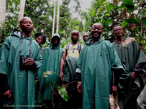 Protecting bonobos — BONOBO