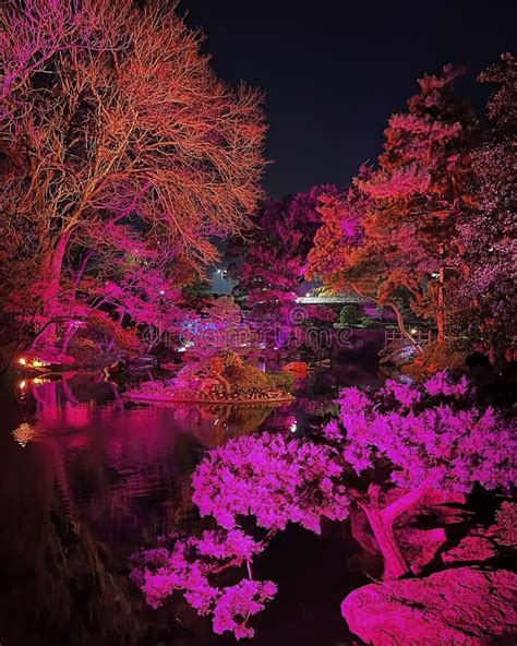 Japanese Gardens Of The Fort Worth Botanic Gardens Illuminated By