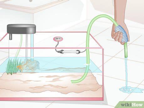 How to Cure Goldfish Dropsy: 15 Steps (with Pictures) - wikiHow