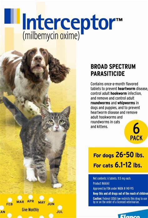 The Ultimate Guide To Choosing The Best Interceptor For Cats A