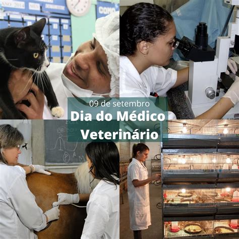 Dia Do Medico Veterinario - No dia 9 de setembro é celebrado o Dia do Médico Veterinário – Escola ...