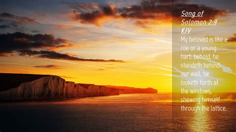 Song Of Solomon Kjv Desktop Wallpaper My Beloved Is Like A Roe Or