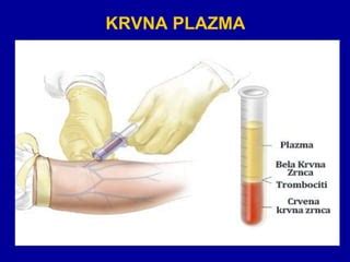 Krvna Plazma Ppt