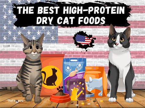 Top 10 Best High Protein Dry Cat Food 2022 [Also Grain-Free]