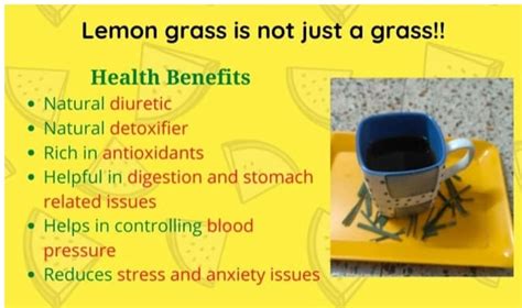 Know More About Lemon Grass By Dt Neha Suryawanshi Lybrate