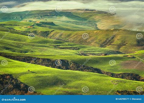 Tuscany Foggy Morning Farmland And Green Fields Italy Stock Image