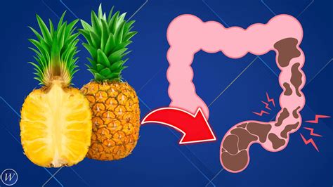 12 Amazing Fruits To Unclog Your Colon Fast Wellness Youtube