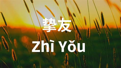 Zhi You 挚友 黄丽玲 A Lin Cover by 陈颖恩 动态歌词 Pinyin Lyrics YouTube