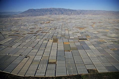 Almerias Greenhouses Another View Government Incentive To Get So Much