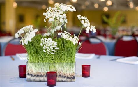 Wheat Grass With Queen Anne S Lace Bridal Flowers Wheat Grass Centerpiece Summer Centerpieces