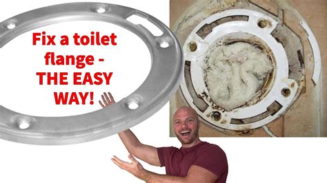 How To Repair A Broken Toilet At Bertha Prater Blog