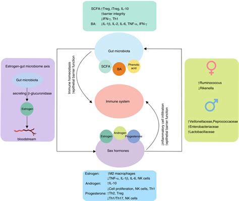 Impact Of Sex Differences On The Clinical Presentation Pathogenesis