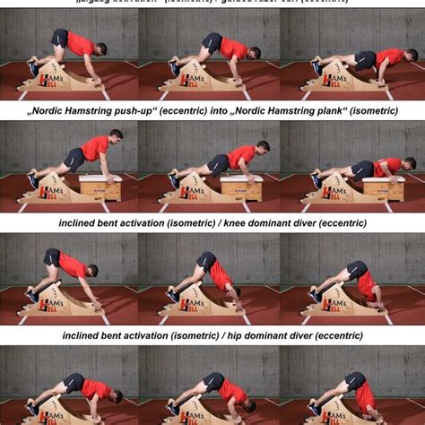 Examples of guided isometric and eccentric hamstring exercises. These... | Download Scientific ...