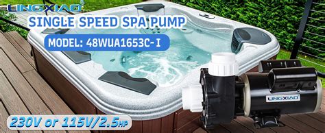 Amazon Lingxiao Single Speed Hot Tub Spa Pumps Lx Spa Pump Motor Hp V Or V