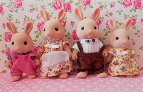 Sylvanian Families Ma Collection Personnelle Collection